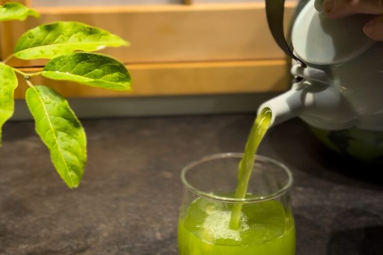 温かいお茶を飲みたくて、今夜は川内ほまれ紺を淹れました🍵